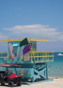 Miami Dreams