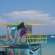 Miami Dreams