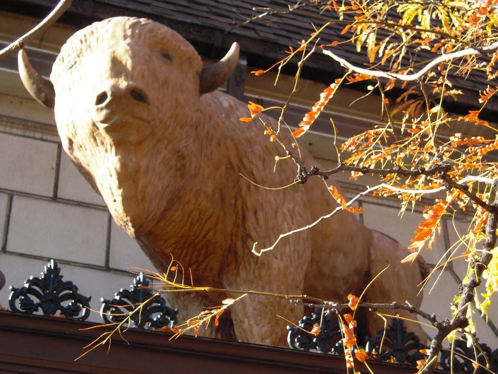 Buffalo sign at Cole's